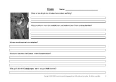 Koala-Fragen-2.pdf